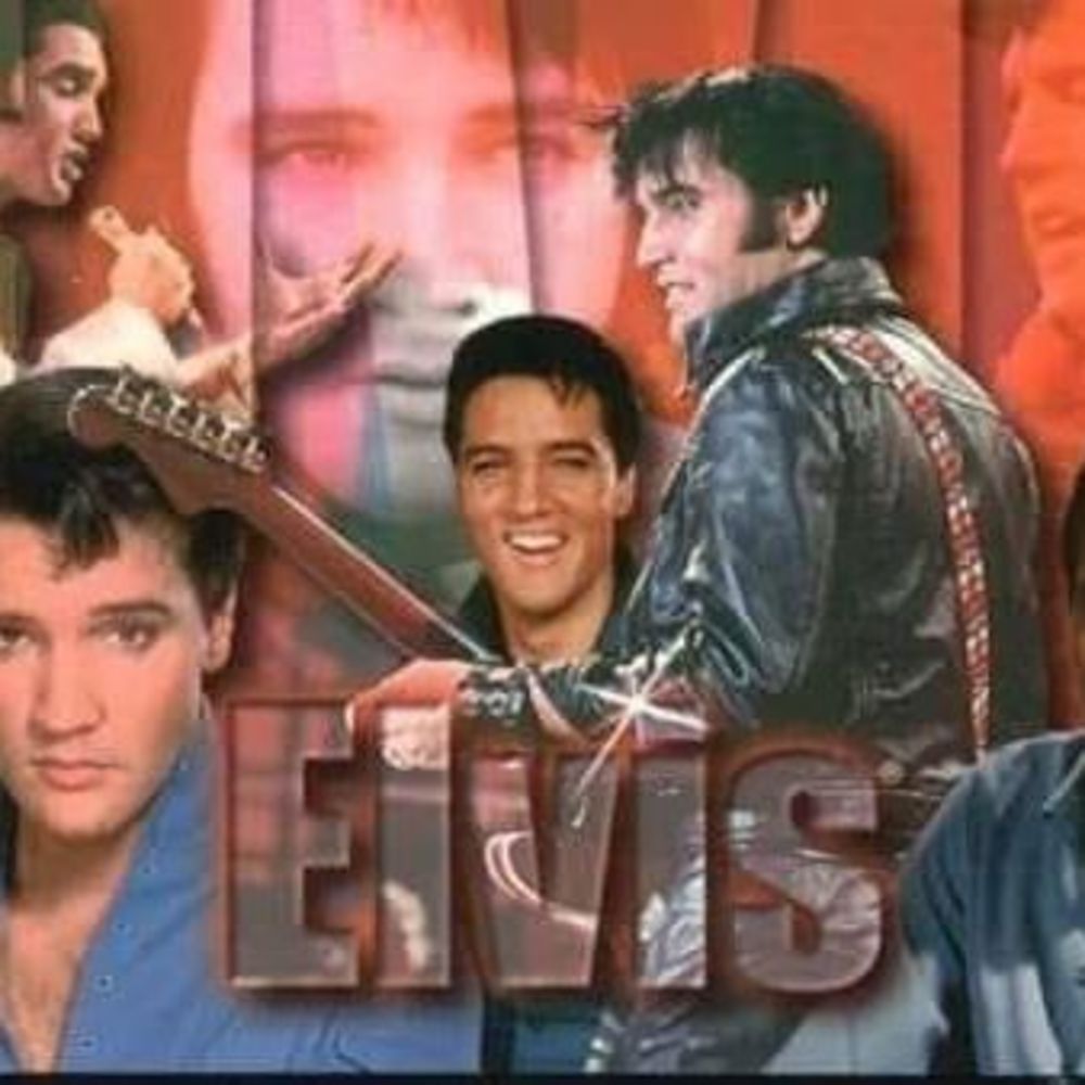 Meet your Posher, Priscilla